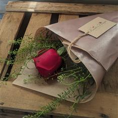 Single Rose