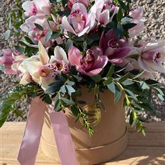 Cymbidium Orchid Hatbox