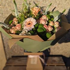 Everything is just Peachy 