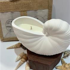 Periwinkle Shell Candle