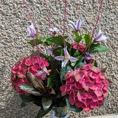 Heavenly Hydrangea Vase