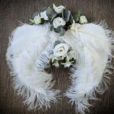 Angel Wings