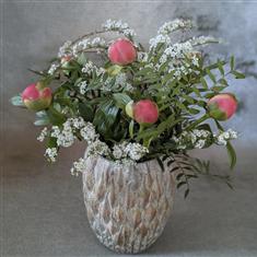 Peony Heaven