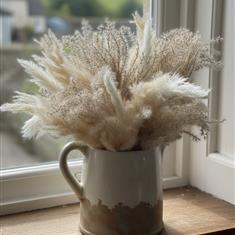Loxley Pampas Perfection 