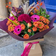 Aimee&#39;s Autumn Sunset