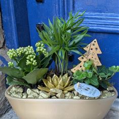 Christmas Planter