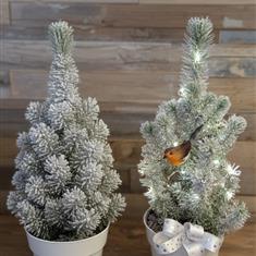 Snowy Christmas Tree Classic &amp; Cozy