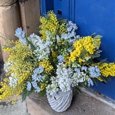 Morning Mist &amp; Mimosa