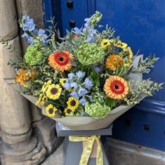 Meagan's Spring Morning 