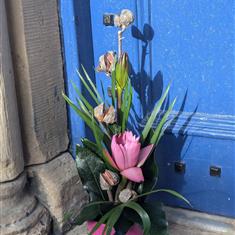 The Phoenix and The Pond