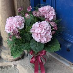 Midsummer Hydrangea