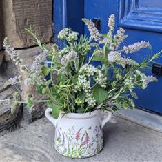 The Aromatic Herb Garden