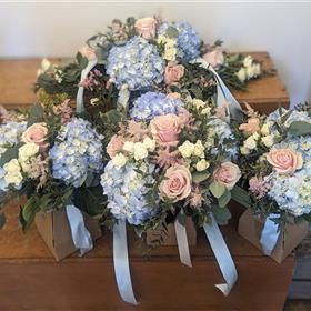 fwthumbPXL_20240427_080354006.RAW-01.COVER~2.jpg